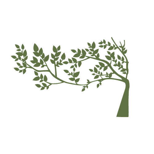 Müşteri Yorumları