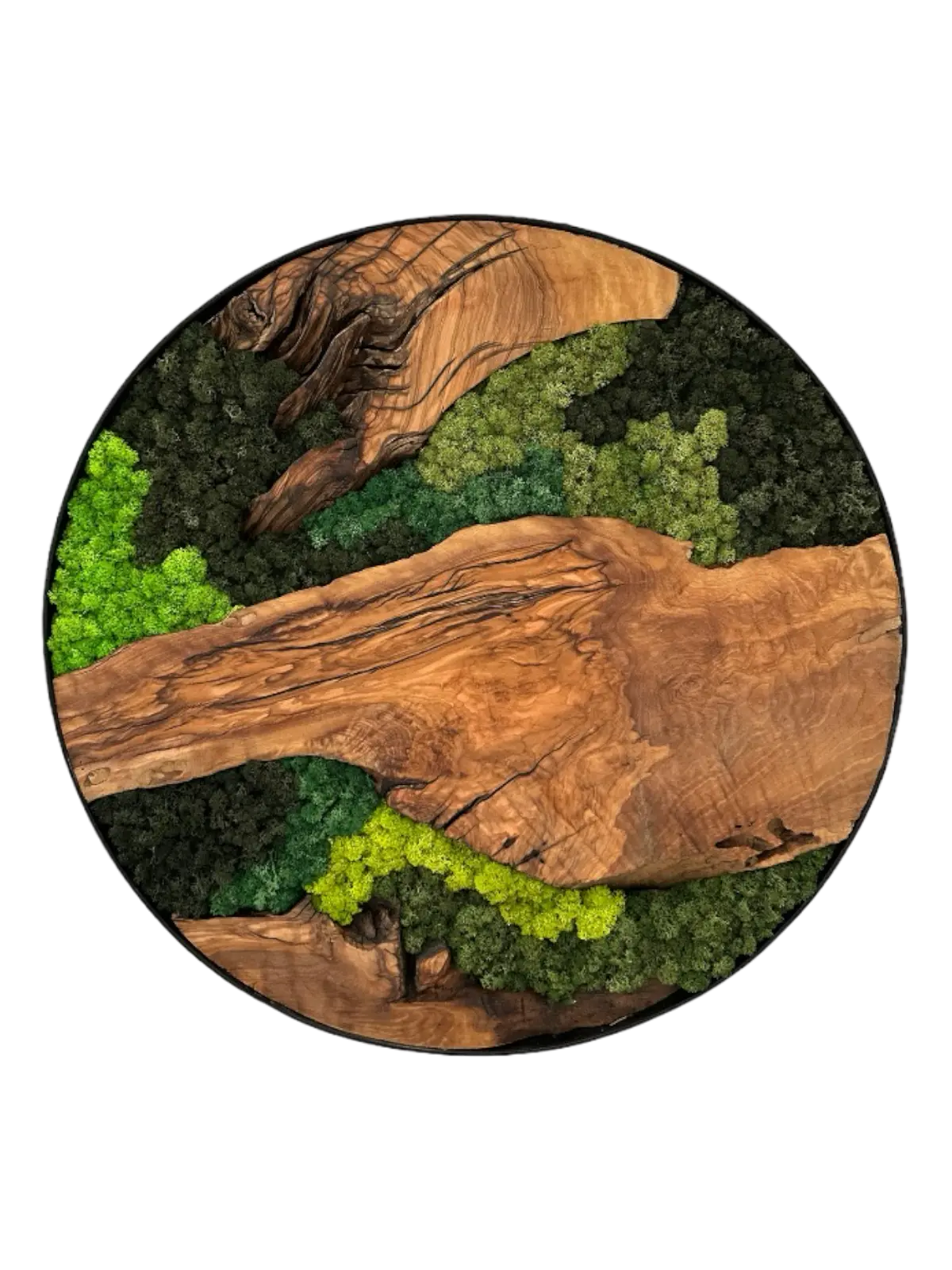 Moss & Olive Tree Wall Decor