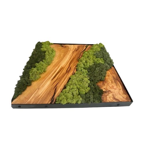 Two-Tone Moss Wall Decor